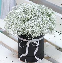 Цветочная композиция из Гипсофила в шляпной коробке #REPLACE_PRED# Партизан