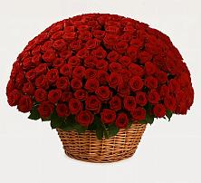 Премиум букет из: Розы в Партизан